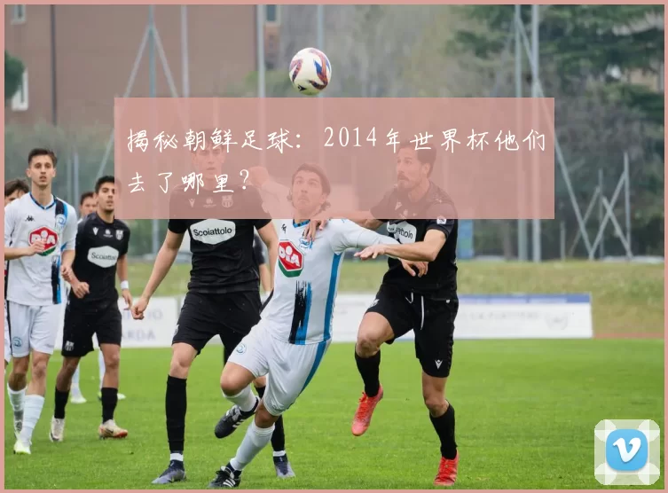 揭秘朝鲜足球:2014年世界杯他们去了哪里?