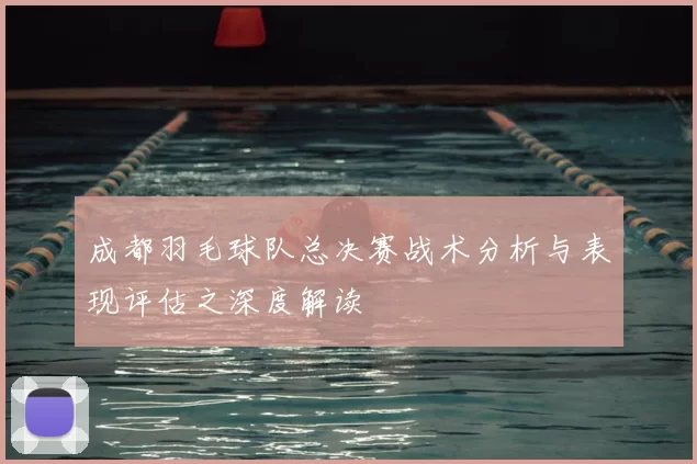 成都羽毛球队总决赛战术分析与表现评估之深度解读