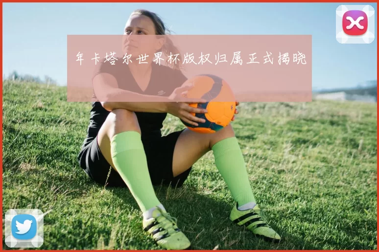 年卡塔尔世界杯版权归属正式揭晓