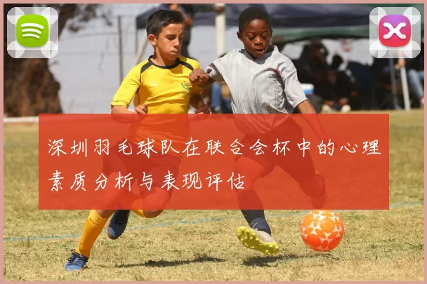 深圳羽毛球队在联合会杯中的心理素质分析与表现评估