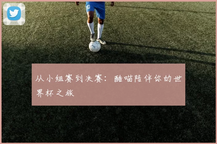 从小组赛到决赛:酷喵陪伴你的世界杯之旅