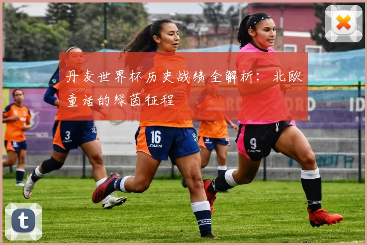 丹麦世界杯历史战绩全解析：北欧童话的绿茵征程
