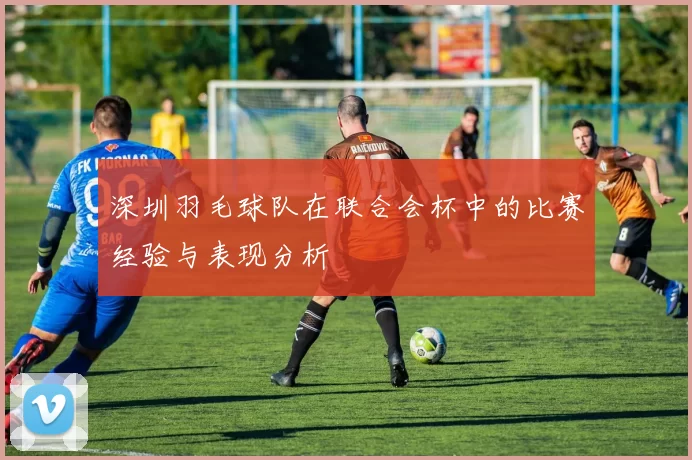深圳羽毛球队在联合会杯中的比赛经验与表现分析