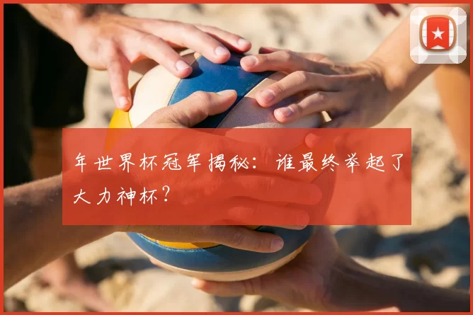 年世界杯冠军揭秘:谁最终举起了大力神杯?