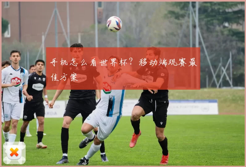手机怎么看世界杯?移动端观赛最佳方案