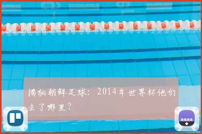 揭秘朝鲜足球：2014年世界杯他们去了哪里？