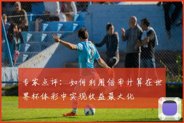 专家点评:如何利用倍率计算在世界杯体彩中实现收益最大化