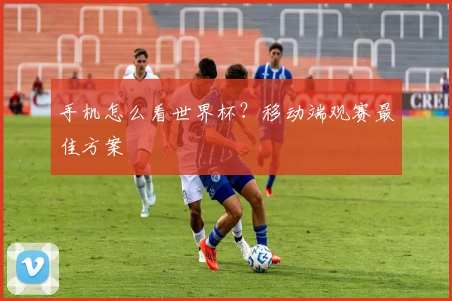 手机怎么看世界杯?移动端观赛最佳方案