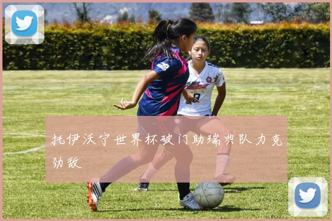 托伊沃宁世界杯破门助瑞典队力克劲敌