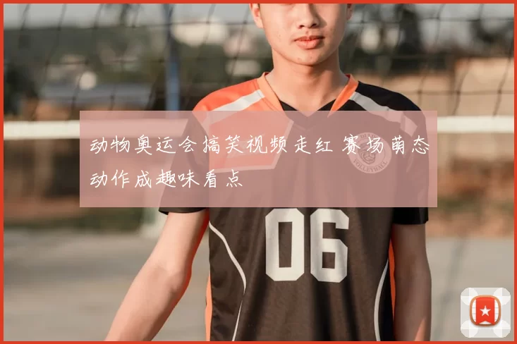 动物奥运会搞笑视频走红 赛场萌态动作成趣味看点