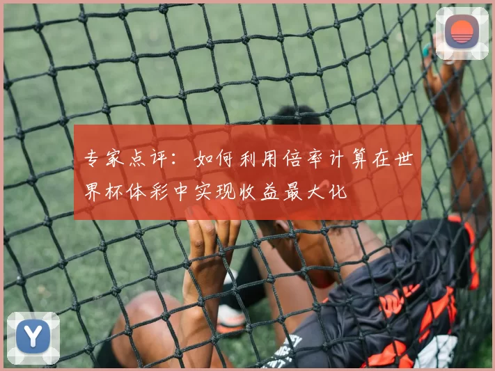 专家点评:如何利用倍率计算在世界杯体彩中实现收益最大化
