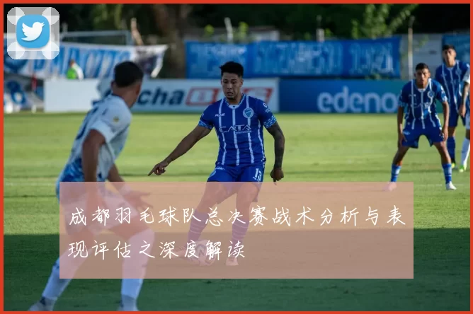 成都羽毛球队总决赛战术分析与表现评估之深度解读