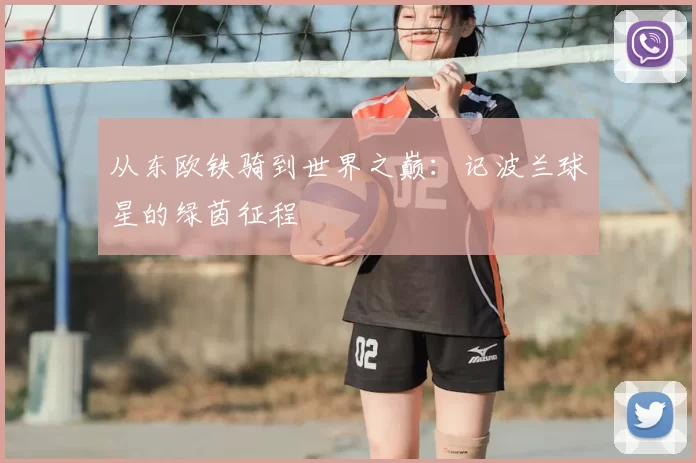 从东欧铁骑到世界之巅：记波兰球星的绿茵征程