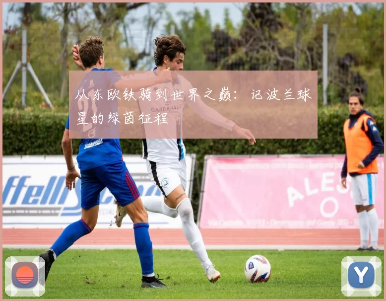 从东欧铁骑到世界之巅：记波兰球星的绿茵征程