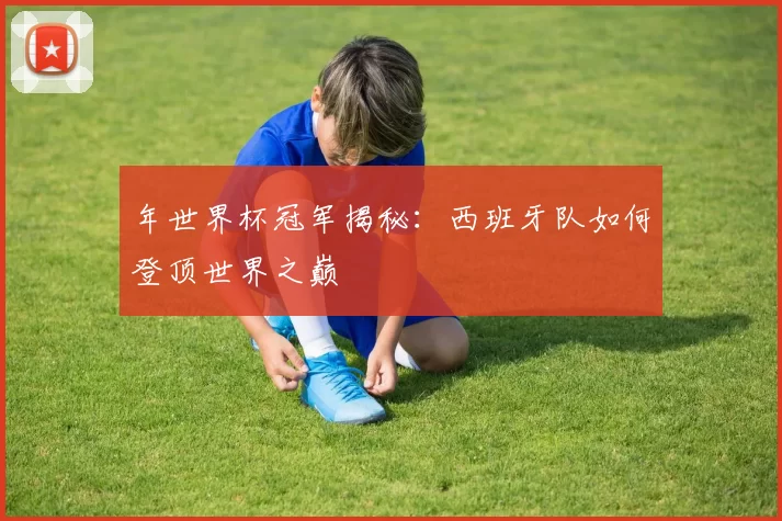 年世界杯冠军揭秘:西班牙队如何登顶世界之巅