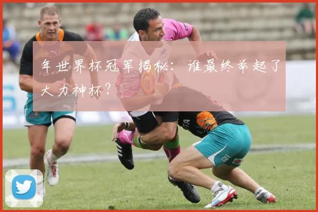 年世界杯冠军揭秘:谁最终举起了大力神杯?