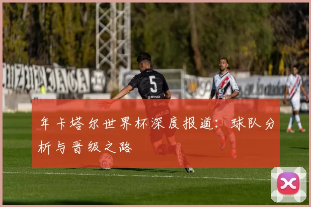 年卡塔尔世界杯深度报道：球队分析与晋级之路