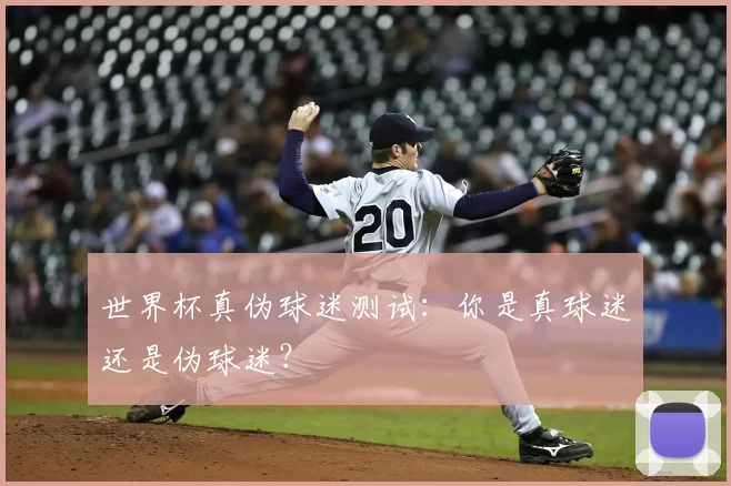 世界杯真伪球迷测试:你是真球迷还是伪球迷?